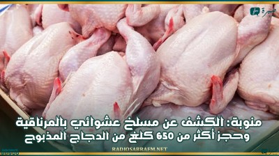 منوبة: الكشف عن مسلخ عشوائي بالمرناقية وحجز أكثر من 650 كلغ من الدجاج المذبوح