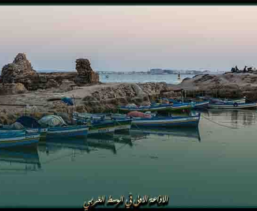 سيدي بوزيد.. إنطلاق تظاهرة تنشيطية من أجل تثمين المخزون البيئي والأثري بالجهة