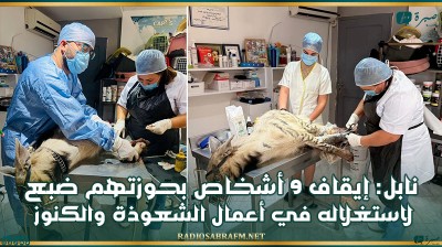نابل: إيقاف 9 أشخاص بحوزتهم 'ضبع' لاستغلاله في أعمال الشعوذة والكنوز‎