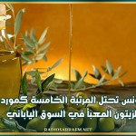 تونس تحتل المرتبة الخامسة كمورد للزيتون المعبأ في السوق الياباني