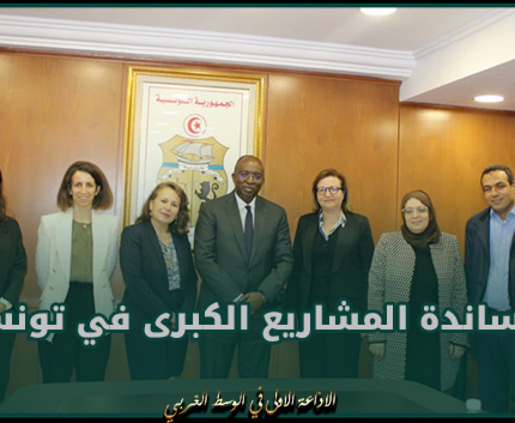 خلال لقاء مع وزيرة الطاقة.. مؤسّسة التمويل الدولية تعلن استعدادها لمساندة المشاريع الكبرى في تونس