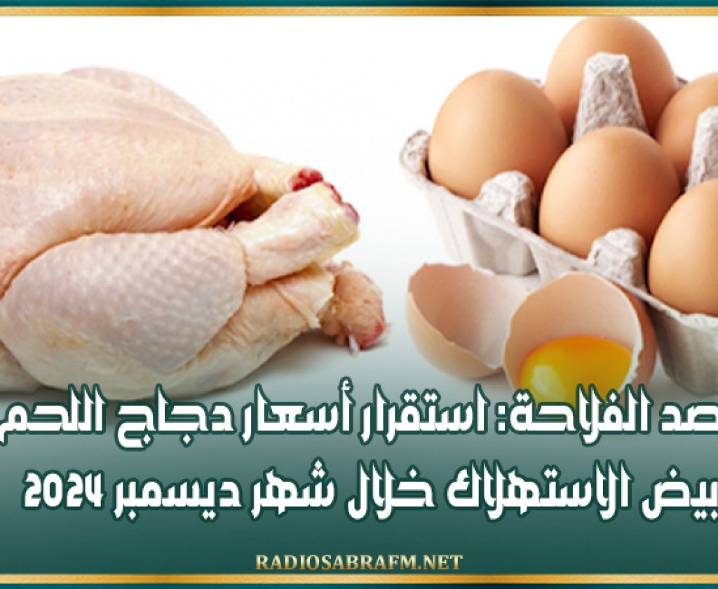 مرصد الفلاحة: استقرار أسعار دجاج اللحم وبيض الاستهلاك خلال شهر ديسمبر 2024