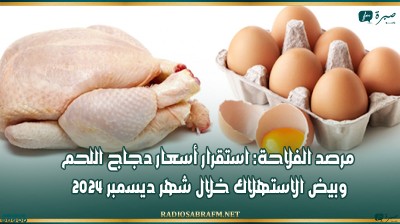 مرصد الفلاحة: استقرار أسعار دجاج اللحم وبيض الاستهلاك خلال شهر ديسمبر 2024