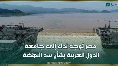 مصر توجه نداء إلى جامعة الدول العربية بشأن سد النهضة