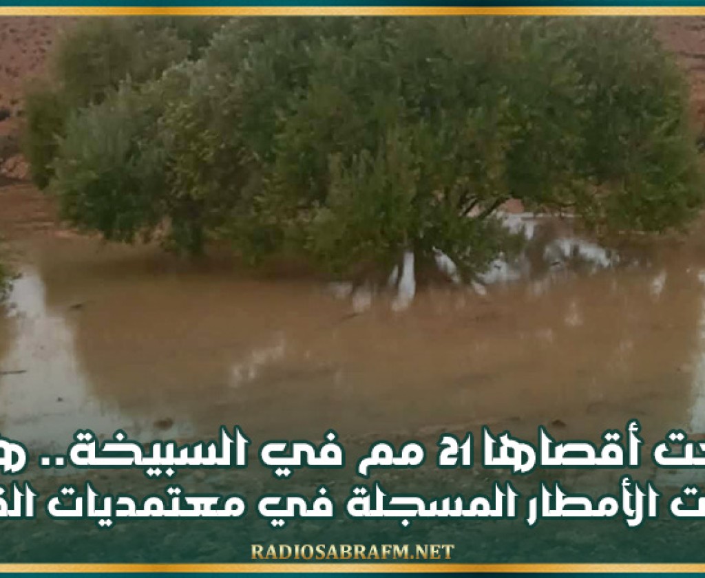 بلغت أقصاها 21 مم في السبيخة.. هذه كميات الأمطار المسجلة في معتمديات القيروان