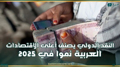 النقد الدولي يصنف أعلى الاقتصادات العربية نموا في 2025