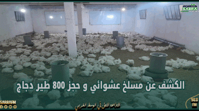 نابل : الكشف عن مسلخ عشوائي و حجز 800 طير دجاج