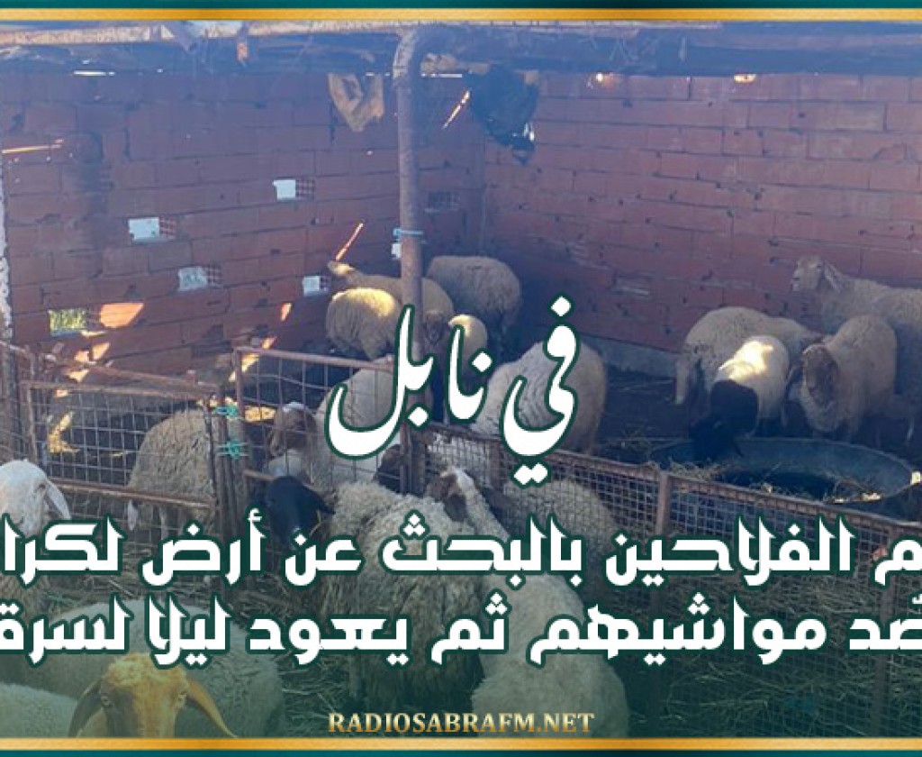 نابل: رفع 326 مخالفة اقتصادية وحجز مواد مدعمة طيلة شهر جانفي الفارط