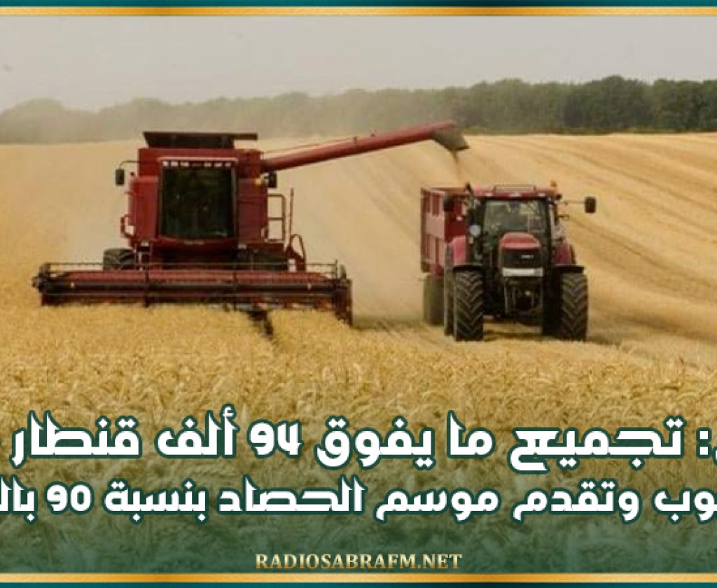 نابل: توقّعات بترويج 10 آلاف طن من البرتقال المالطي خلال هذا الموسم