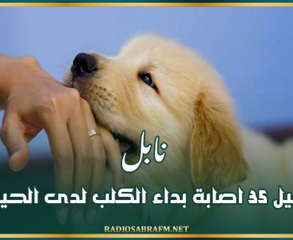 نابل: تسجيل 35 اصابة بداء الكلب لدى الحيوانات