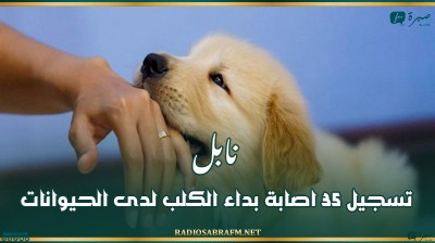نابل: تسجيل 35 اصابة بداء الكلب لدى الحيوانات