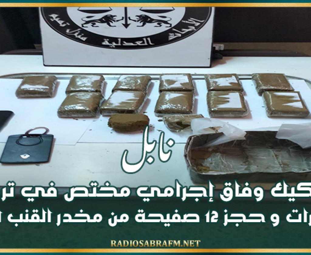 نابل: تفكيك وفاق إجرامي مختص في ترويج المخدرات و حجز 12 صفيحة من مخدر القنب الهندي