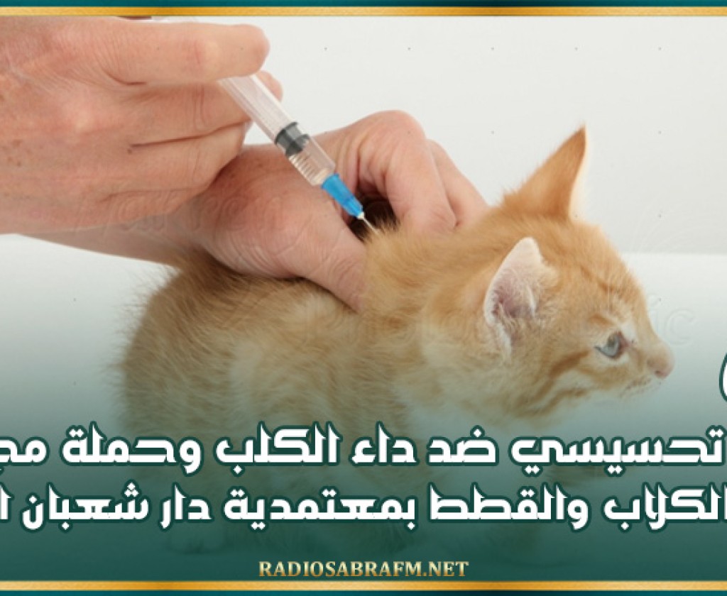نابل: يوم تحسيسي ضد داء الكلب وحملة مجانية لتلقيح الكلاب والقطط بمعتمدية دار شعبان الفهري