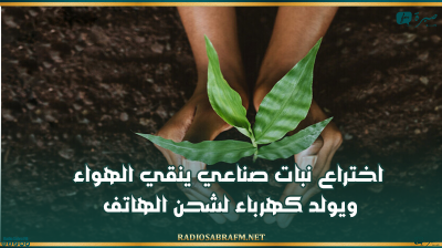 اختراع نبات صناعي ينقي الهواء ويولد كهرباء لشحن الهاتف