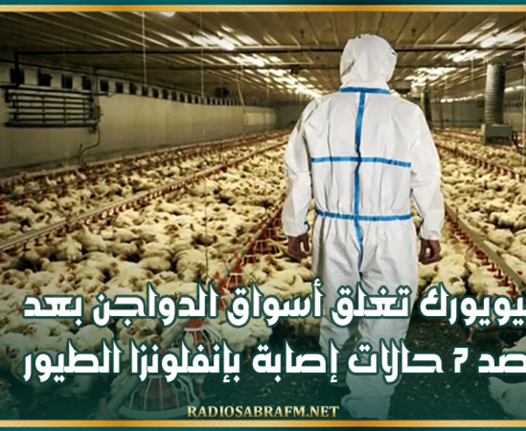 نيويورك تغلق أسواق الدواجن بعد رصد 7 حالات إصابة بإنفلونزا الطيور