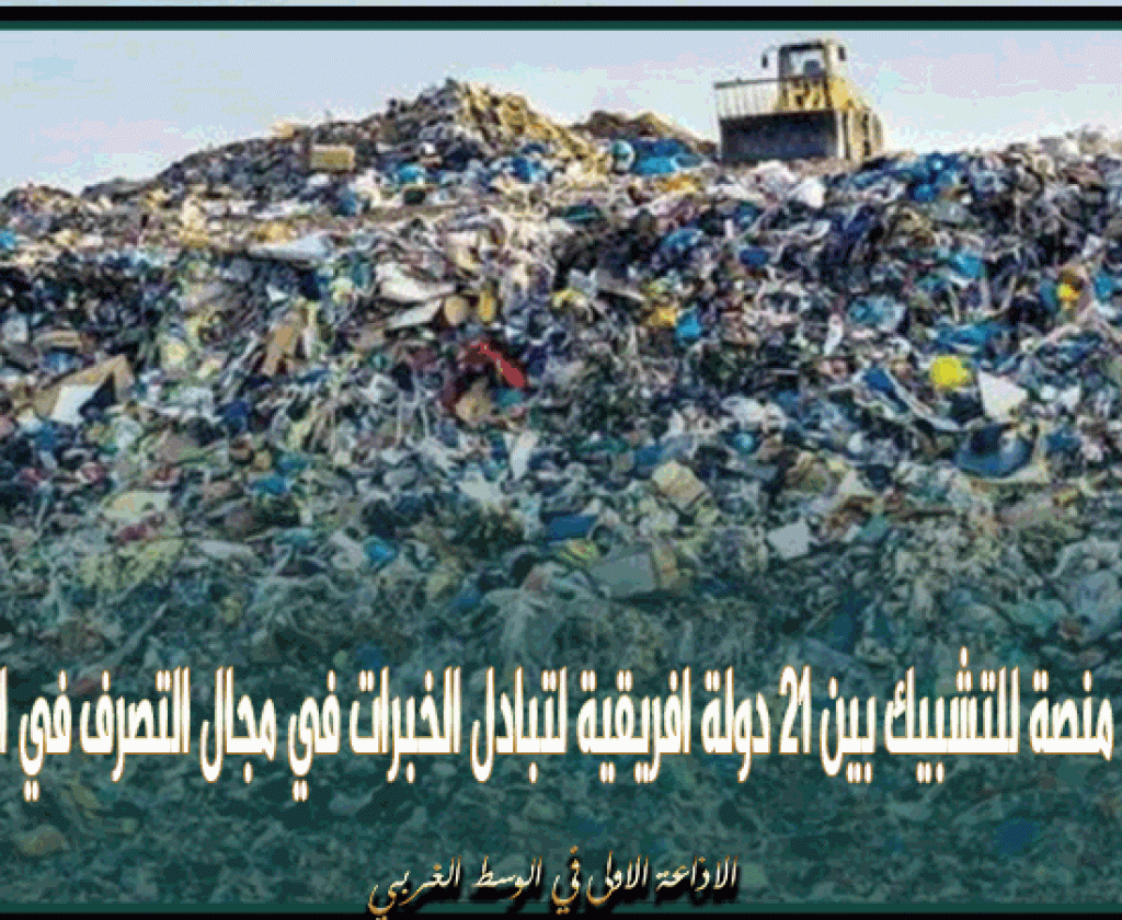 وزيرة البيئة: نحو إحداث منصة للتشبيك بين 21 دولة افريقية لتبادل الخبرات في مجال التصرف في النفايات