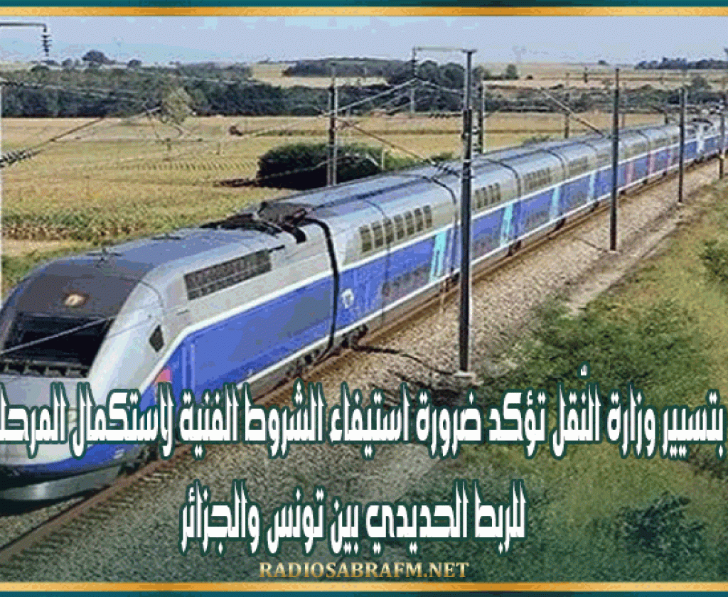 المكلّفة بتسيير وزارة النّقل تؤكد ضرورة استيفاء الشروط الفنية لاستكمال المرحلة التجريبية للربط الحديدي بين تونس والجزائر