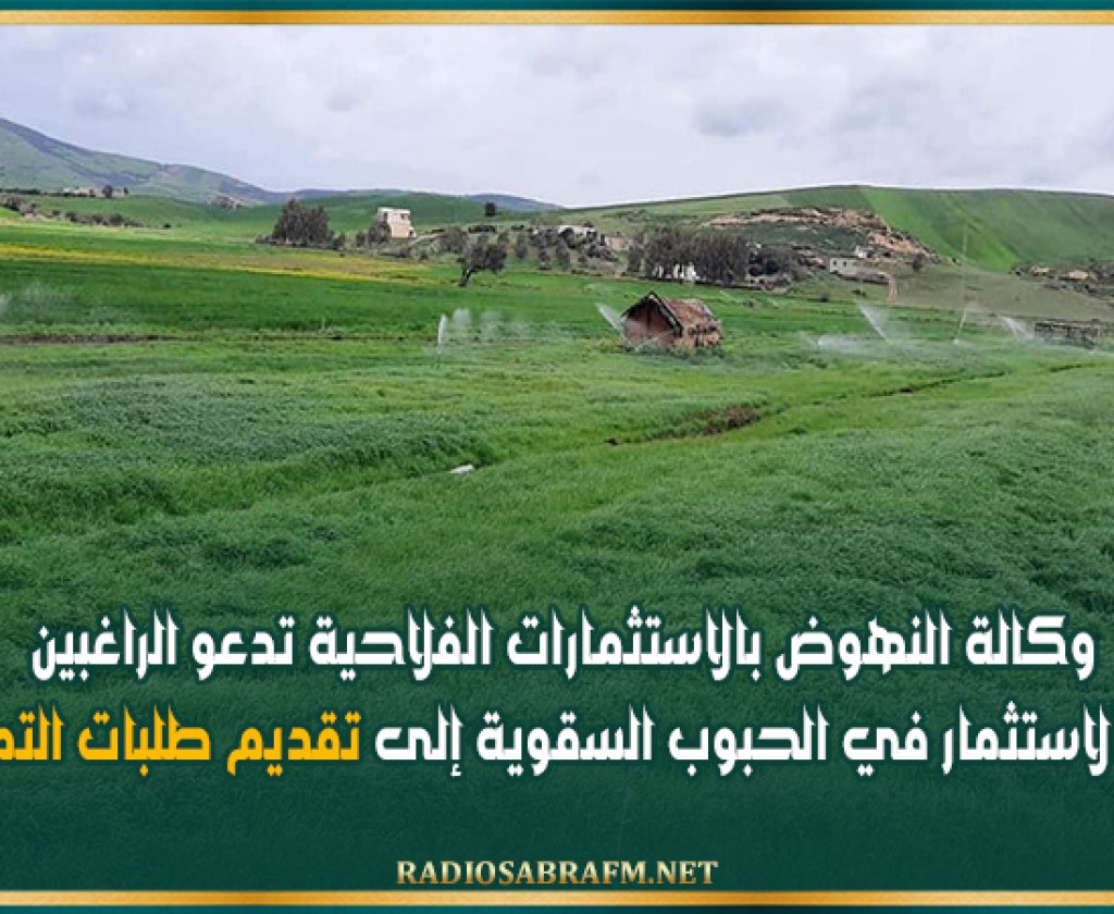 وكالة النهوض بالاستثمارات الفلاحية تدعو الراغبين في الاستثمار في الحبوب السقوية إلى تقديم طلبات التمويل