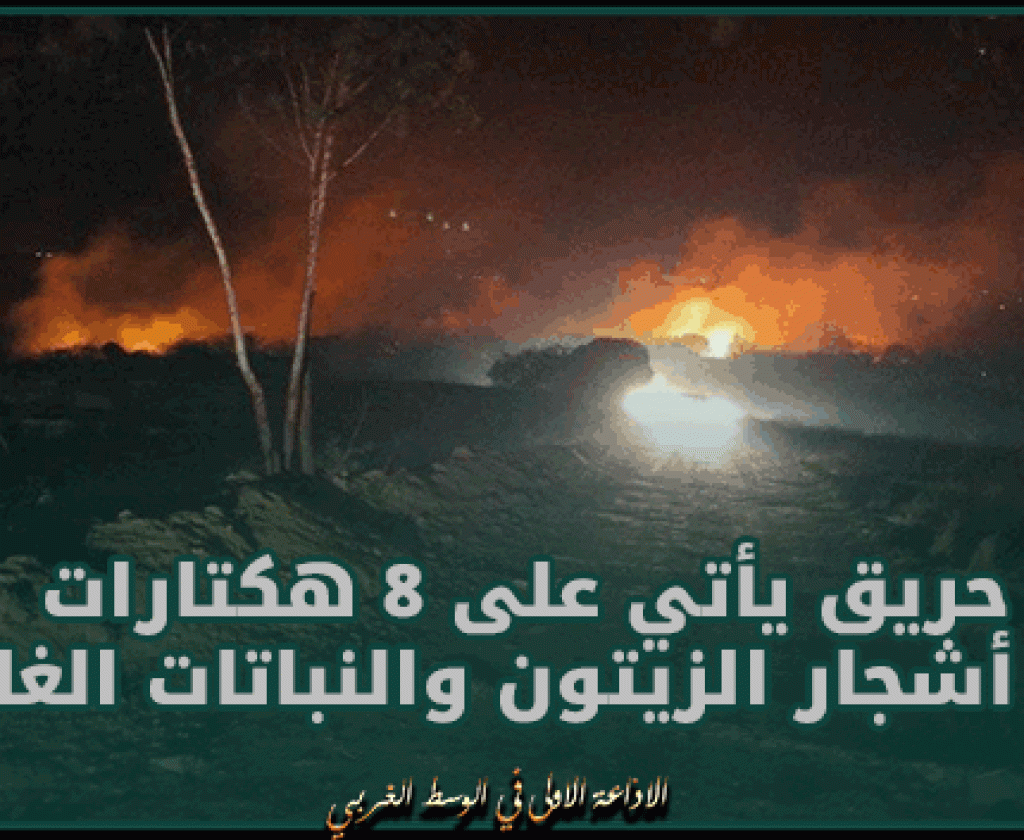 حفوز.. حريق يأتي على 8 هكتارات من أشجار الزيتون والنباتات الغابية