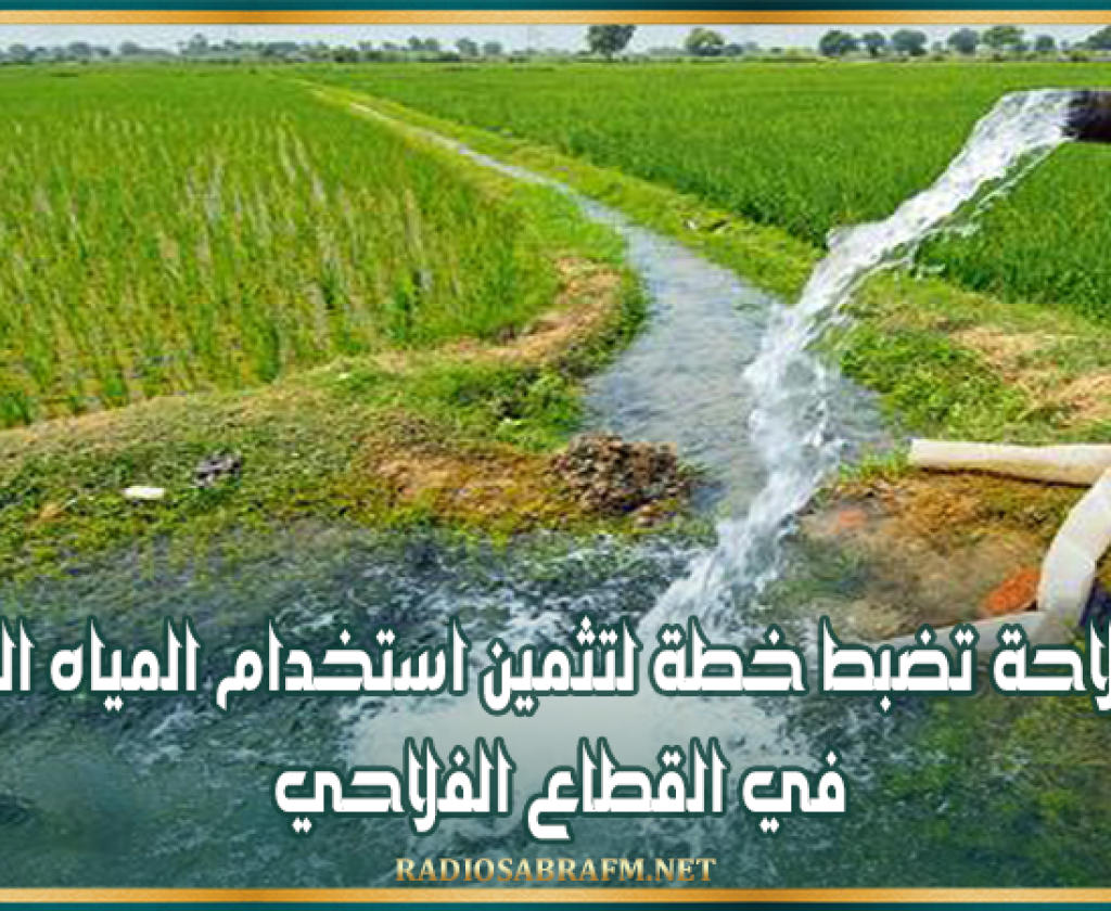 وزارة الفلاحة تضبط خطة لتثمين استخدام المياه المعالجة في القطاع الفلاحي