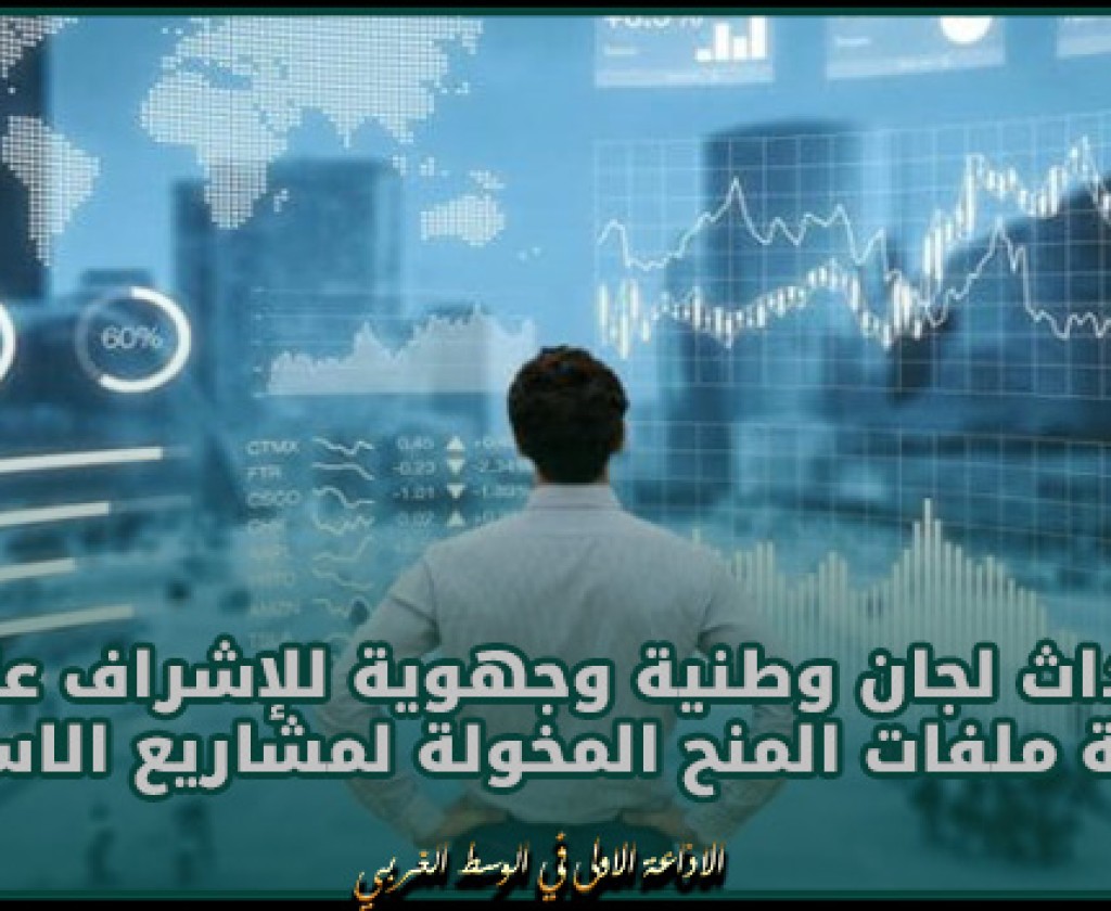 وزارة الاقتصاد تبرمج احداث لجان وطنية وجهوية للإشراف على دراسة ملفات المنح المخولة لمشاريع الاستثمار