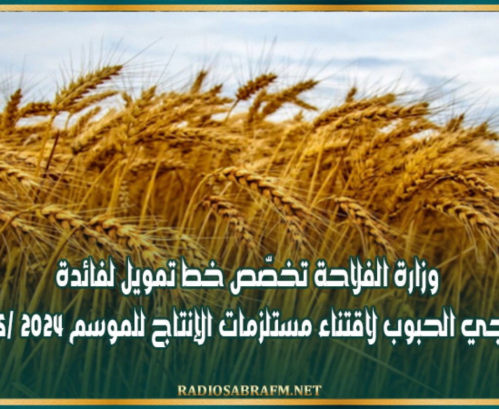 وزارة الفلاحة تخصّص خط تمويل لفائدة منتجي الحبوب لاقتناء مستلزمات الإنتاج للموسم 2024 /2025