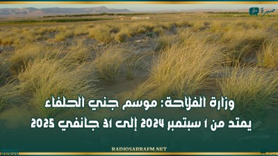 وزارة الفلاحة: موسم جني الحلفاء يمتد من 1 سبتمبر 2024 إلى 31 جانفي 2025