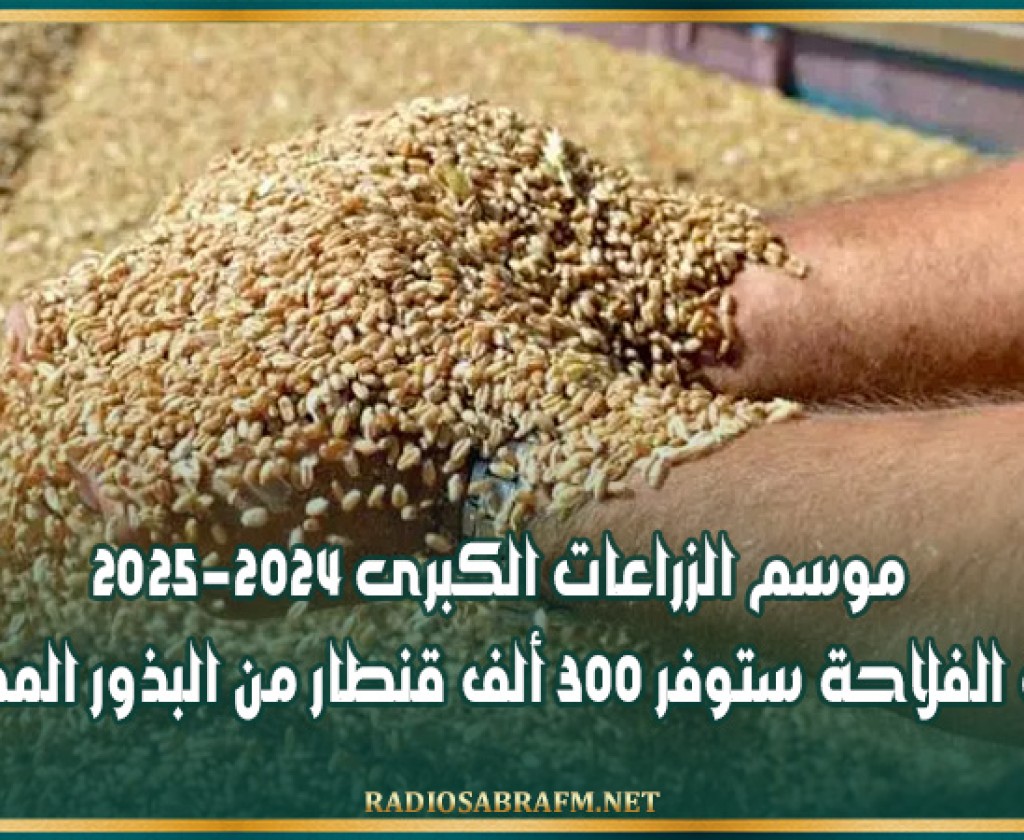 موسم الزراعات الكبرى 2024-2025 : وزارة الفلاحة ستوفر 300 ألف قنطار من البذور الممتازة