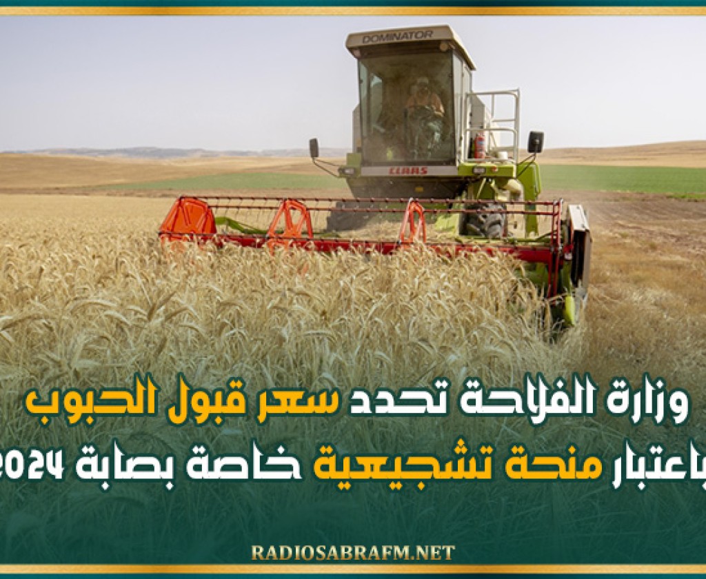 وزارة الفلاحة تحدد سعر قبول الحبوب باعتبار منحة تشجيعية خاصة بصابة 2024