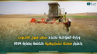 وزارة الفلاحة تحدد سعر قبول الحبوب باعتبار منحة تشجيعية خاصة بصابة 2024