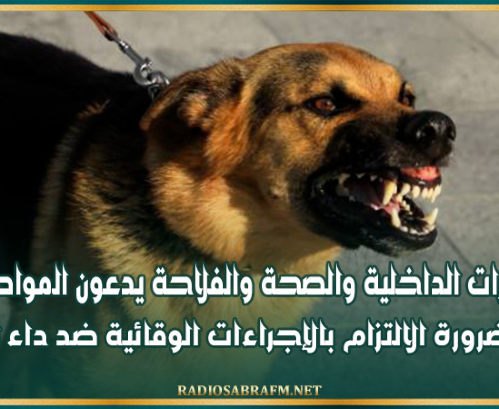 وزارات الداخلية والصحة والفلاحة يدعون المواطنين إلى ضرورة الالتزام بالإجراءات الوقائية ضد داء الكلب