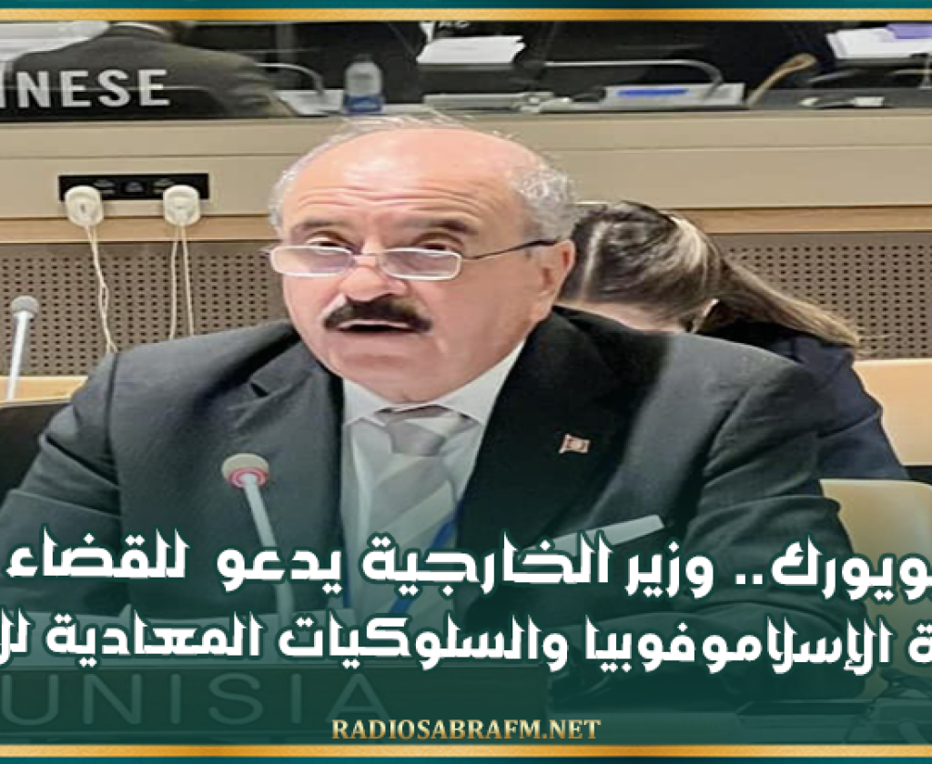 من نيويورك.. وزير الخارجية يدعو للقضاء على ظاهرة الإسلاموفوبيا والسلوكيات المعادية للإسلام