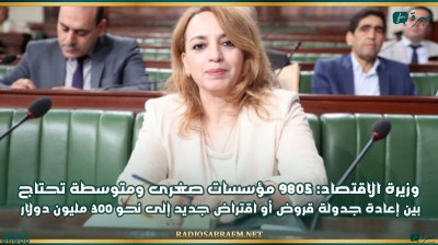 وزيرة الاقتصاد: 9805 مؤسسات صغرى ومتوسطة تحتاج بين إعادة جدولة قروض أو اقتراض جديد إلى نحو 300 مليون دولار