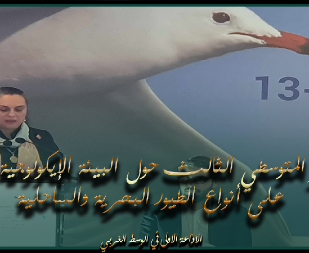 وزيرة البيئة تشارك في المؤتمر المتوسطي الثالث حول البيئة الإيكولوجية والحفاظ على أنواع الطيور البحرية والساحلية المنعقد بجربة