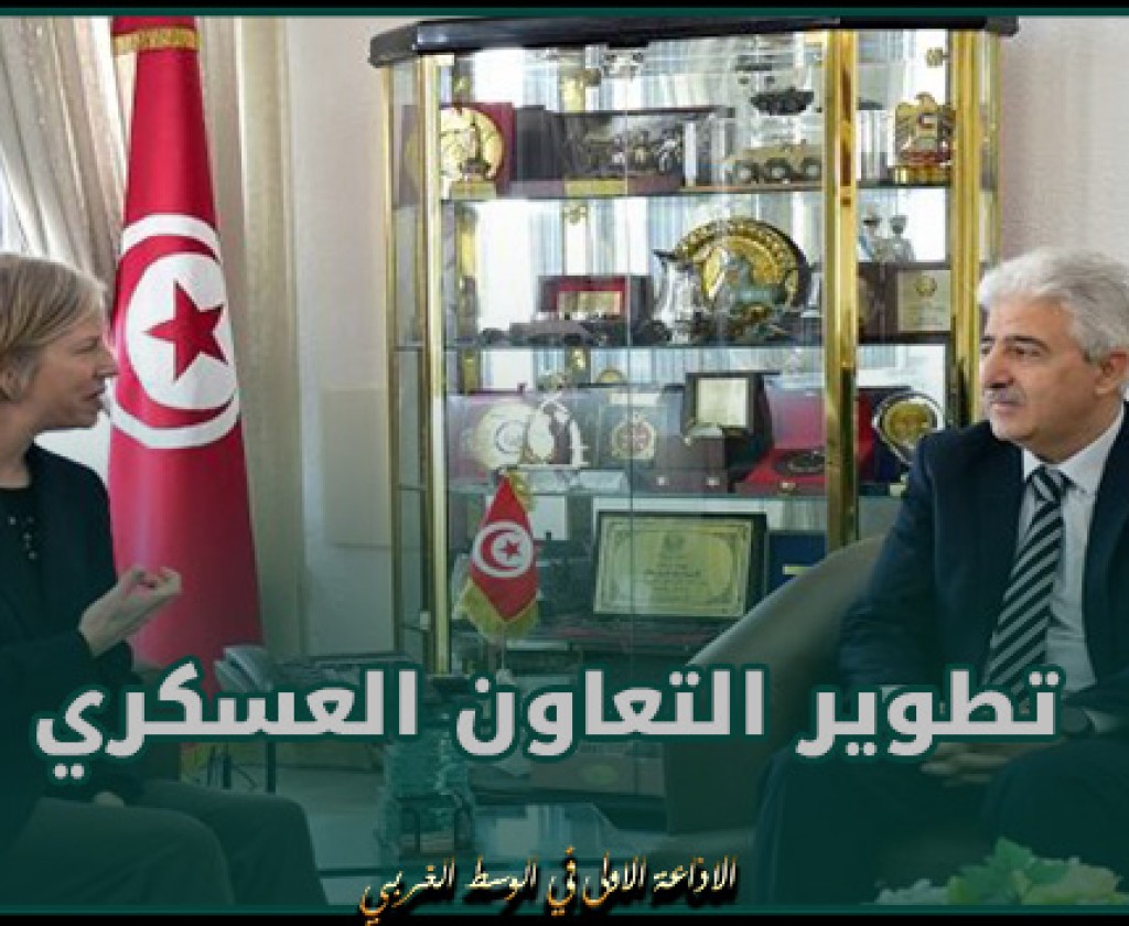 تطوير التعاون العسكري محور محادثة بين وزير الدفاع وسفيرة كندا بتونس