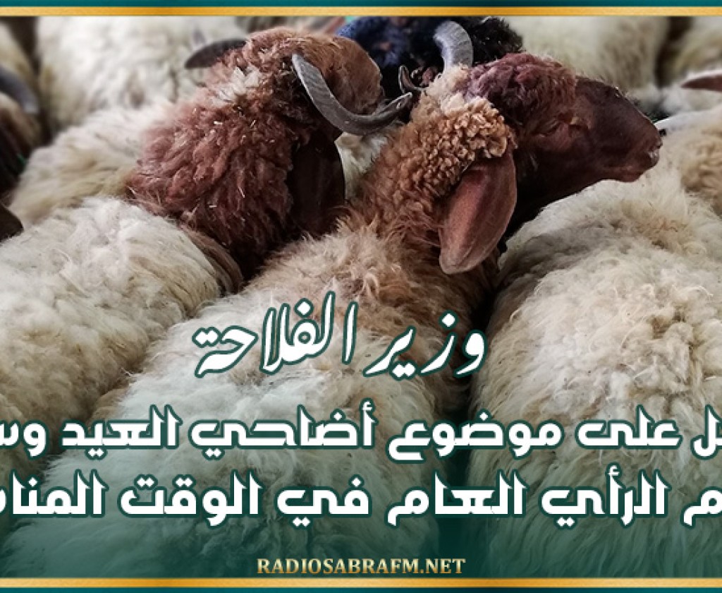 وزير الفلاحة: الوزارة تعمل على خلق بذور مائة بالمائة تونسية تتماشى مع التغيرات المناخية الحاصلة