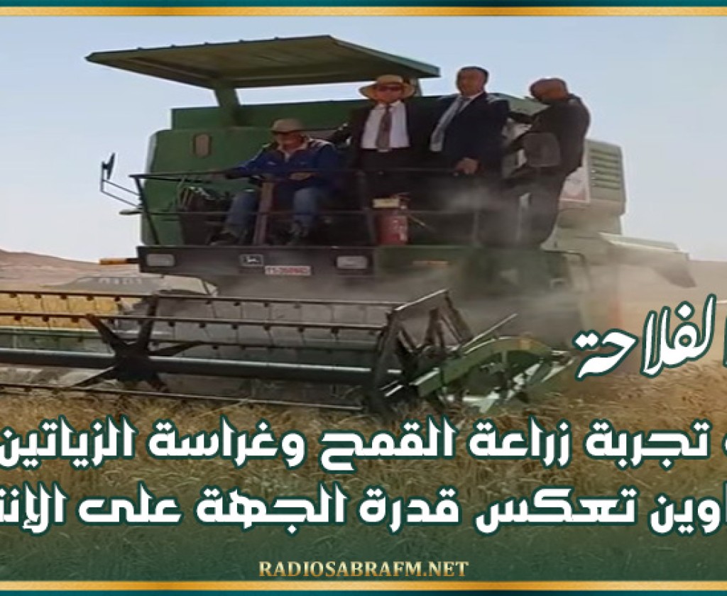 وزير الفلاحة: أهميّة تجربة زراعة القمح وغراسة الزياتين بولاية تطاوين تعكس قدرة الجهة على الإنتاج