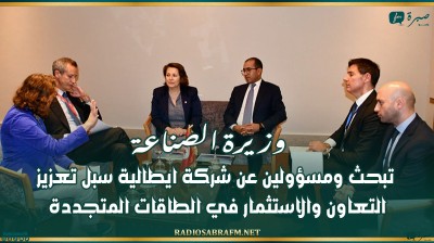 وزيرة الصناعة تبحث ومسؤولين عن شركة ايطالية سبل تعزيز التعاون والاستثمار في الطاقات المتجددة