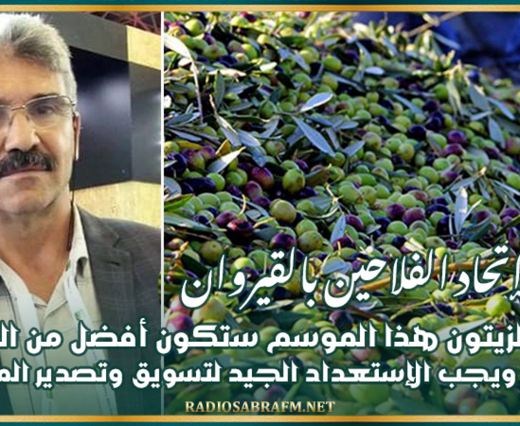رئيس إتحاد الفلاحين بالقيروان: صابة الزيتون هذا الموسم ستكون أفضل من الموسم الفارط ويجب الإستعداد الجيد لتسويق وتصدير المنتوج