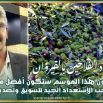 رئيس إتحاد الفلاحين بالقيروان: صابة الزيتون هذا الموسم ستكون أفضل من الموسم الفارط ويجب الإستعداد الجيد لتسويق وتصدير المنتوج