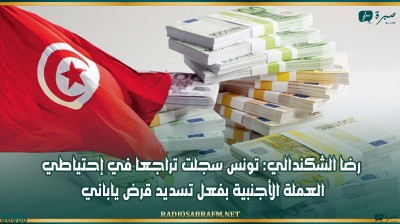 رضا الشكندالي: تونس سجلت تراجعا في إحتياطي العملة الأجنبية بفعل تسديد قرض ياباني