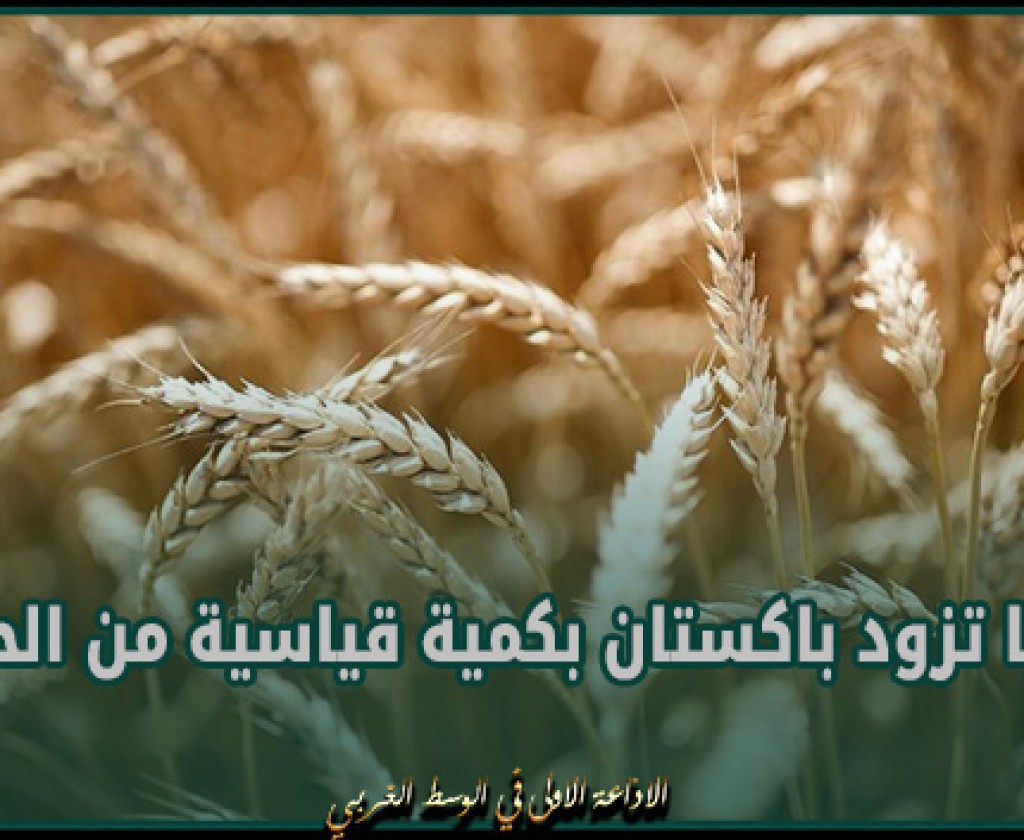 روسيا تزود باكستان بكمية قياسية من الحبوب وتشغل 70% من سوقها