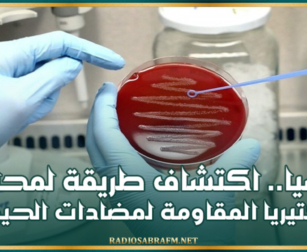 روسيا.. اكتشاف طريقة لمحاربة البكتيريا المقاومة لمضادات الحيوية