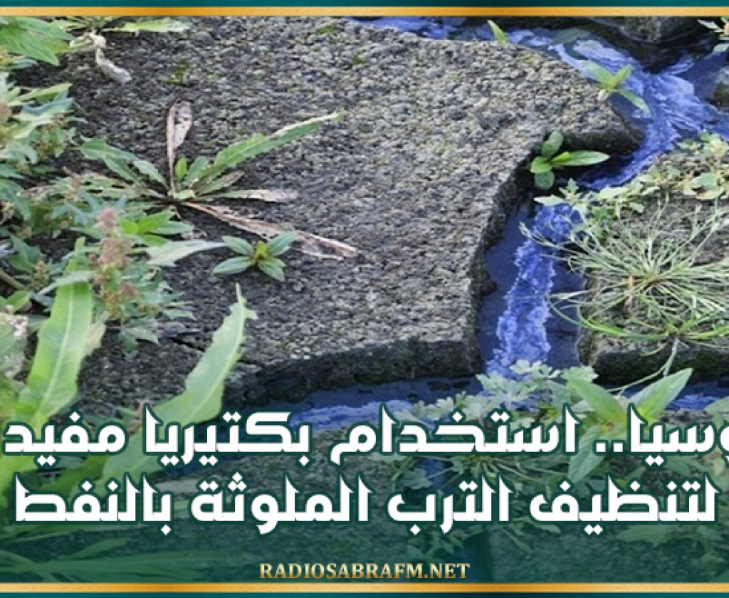 روسيا.. استخدام بكتيريا مفيدة لتنظيف الترب الملوثة بالنفط