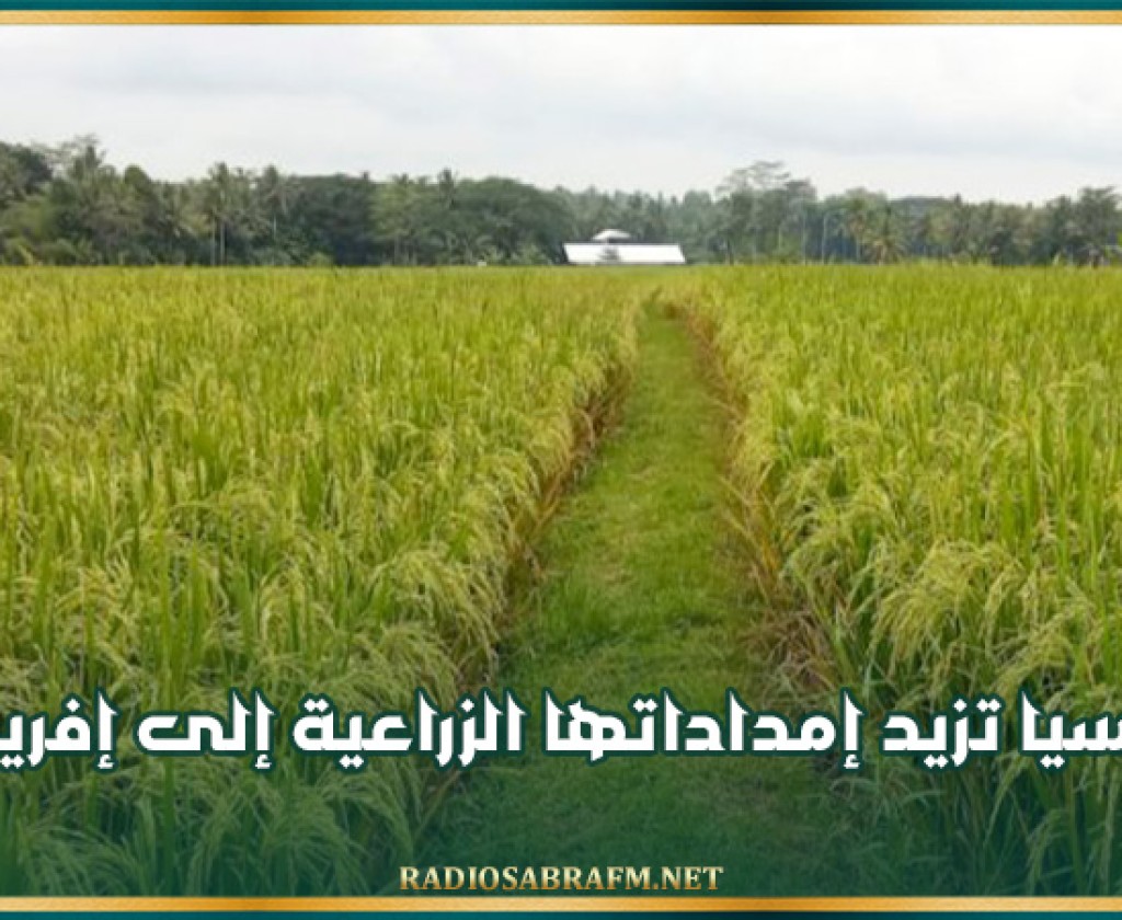 روسيا تزيد إمداداتها الزراعية إلى إفريقيا