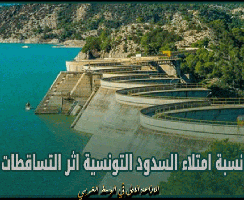 33.08 % نسبة امتلاء السدود التونسية اثر التساقطات الأخيرة