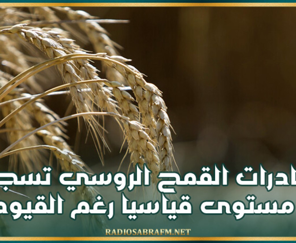 صادرات القمح الروسي تسجل مستوى قياسيا رغم القيود