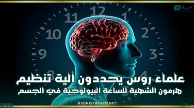 علماء روس يحددون آلية تنظيم هرمون الشهية للساعة البيولوجية في الجسم