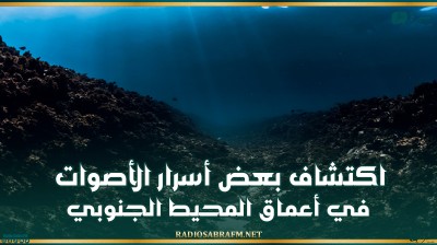 اكتشاف بعض أسرار الأصوات الغامضة في أعماق المحيط الجنوبي