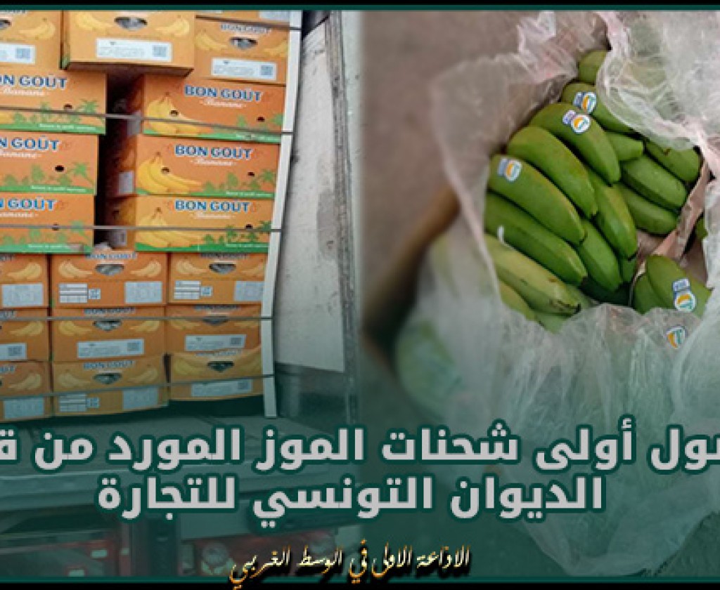 وزارة التجارة: وصول أولى شحنات الموز المورد من قبل الديوان التونسي للتجارة